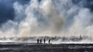 Aer IRESPIRABIL in Capitala! Primarul General cere interventia CSAT Stiri agricole
