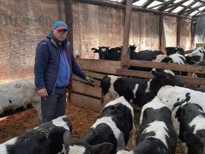 Ștefan Muscă fermier animale