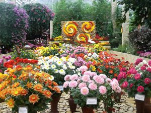 Grădina Botanică