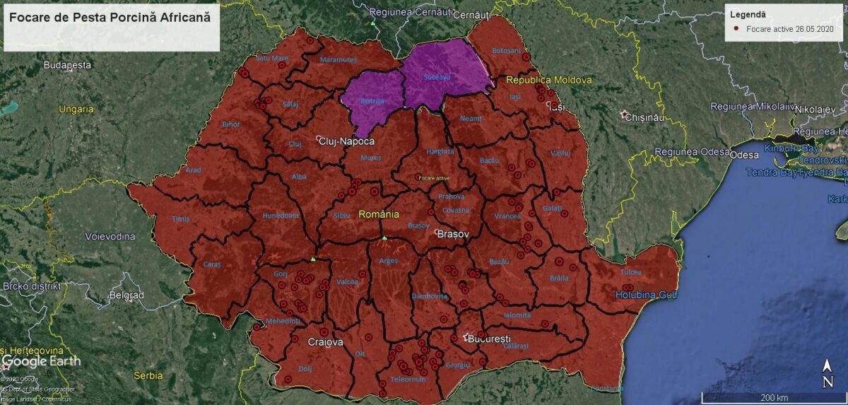 Actualizare PPA: Despagubiri de peste 440 milioane de lei pentru crescatorii afectati 1 Actualizare PPA: Despagubiri de peste 440 milioane de lei pentru crescatorii afectati Actualizare PPA: Despagubiri de peste 440 milioane de lei pentru crescatorii afectati Comunicate