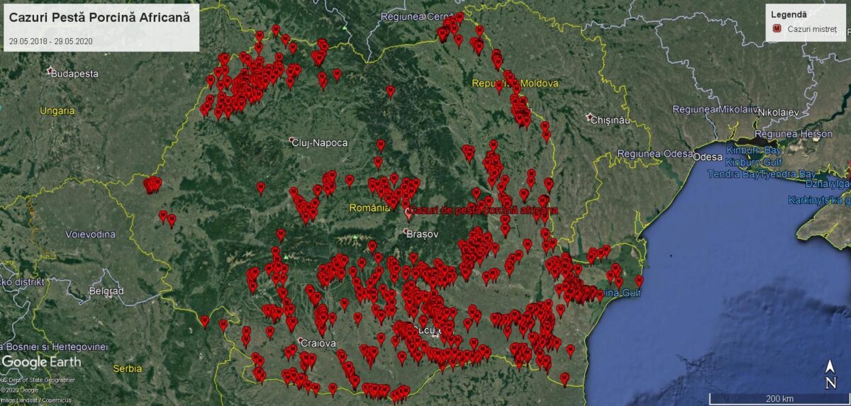 Actualizare PPA: Despagubiri de peste 440 milioane de lei pentru crescatorii afectati 2 Actualizare PPA: Despagubiri de peste 440 milioane de lei pentru crescatorii afectati Actualizare PPA: Despagubiri de peste 440 milioane de lei pentru crescatorii afectati Comunicate