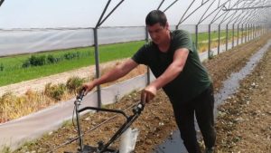 EDITORIAL Ambiția, cuvântul de ordine! Stiri agricole