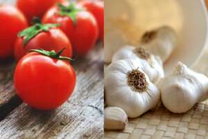 tomata usturoiul, tomate și usturoi
