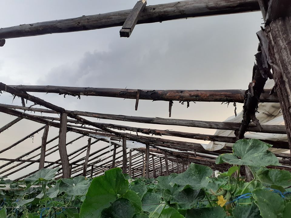 Solarii distruse de furtuna! "A venit ca o tornada. Eram in solar. M-am speriat groaznic" 1 Solarii distruse de furtuna! "A venit ca o tornada. Eram in solar. M-am speriat groaznic" Solarii distruse de furtuna! "A venit ca o tornada. Eram in solar. M-am speriat groaznic" Stiri agricole