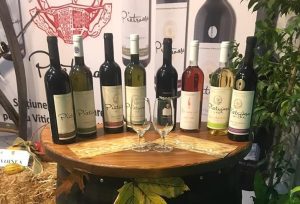 Medalii de aur pentru vinurile de Pietroasele! Ce surprize pregatesc cercetatorii buzoieni Afaceri