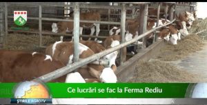 Ferma Rediu, un model de bune practici pentru studenții de la USAMV Iași Stiri agricole