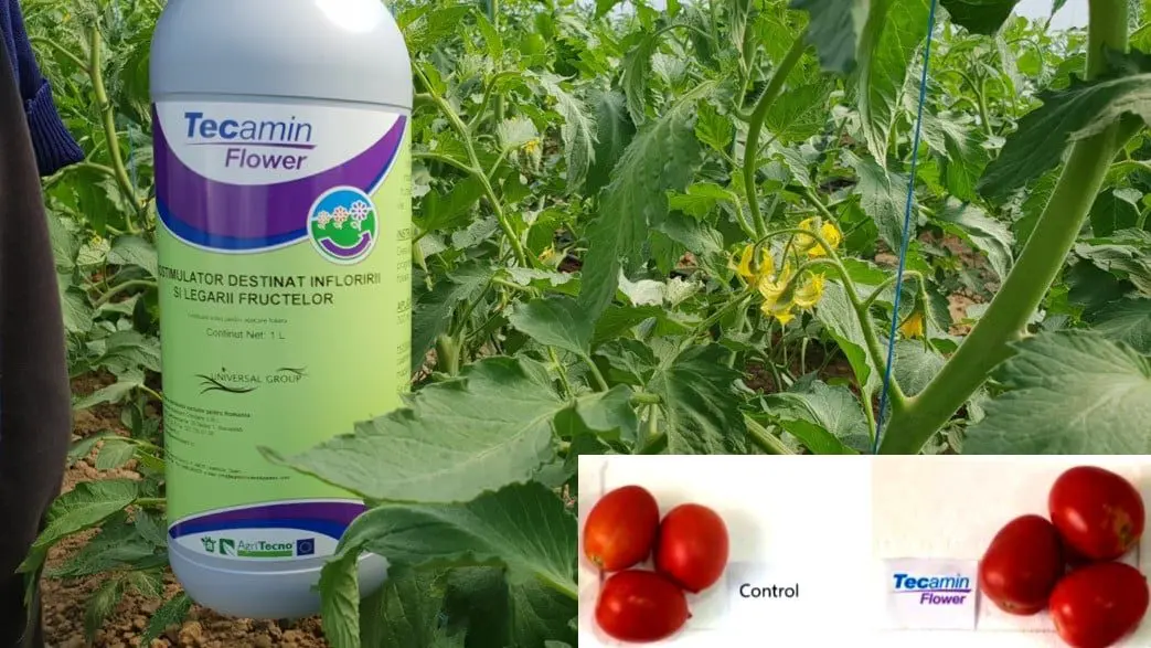 Biostimulatorii din gama Tecamin - pentru culturi sigure și profitabile 2 Biostimulatorii din gama Tecamin - pentru culturi sigure și profitabile Biostimulatorii din gama Tecamin - pentru culturi sigure și profitabile Tehnologii si utilaje
