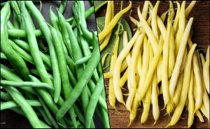 Fasolea verde (pastai): beneficii uimitoare pentru sanatate. Sursa de fibre, vit. C, Mg, Fe, K si alte proprietati. Editorial