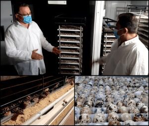 Vizita la ferma de prepelite din Valcea. MADR: se va lansa o linie de produse Fast Food Healthy Editorial