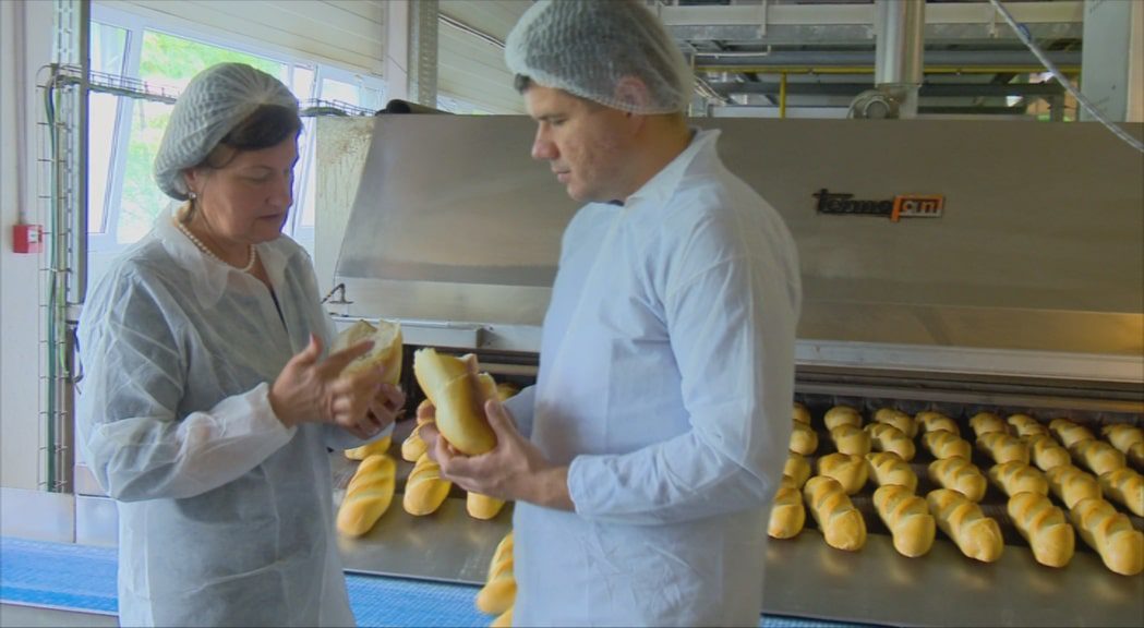 lipsa graului scumpeste painea materie primă, ANSVSA