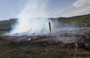 RAZBOIUL SUBVENTIILOR! Stana incendiata cu primarul, executorul si jandarmii de fata Afaceri