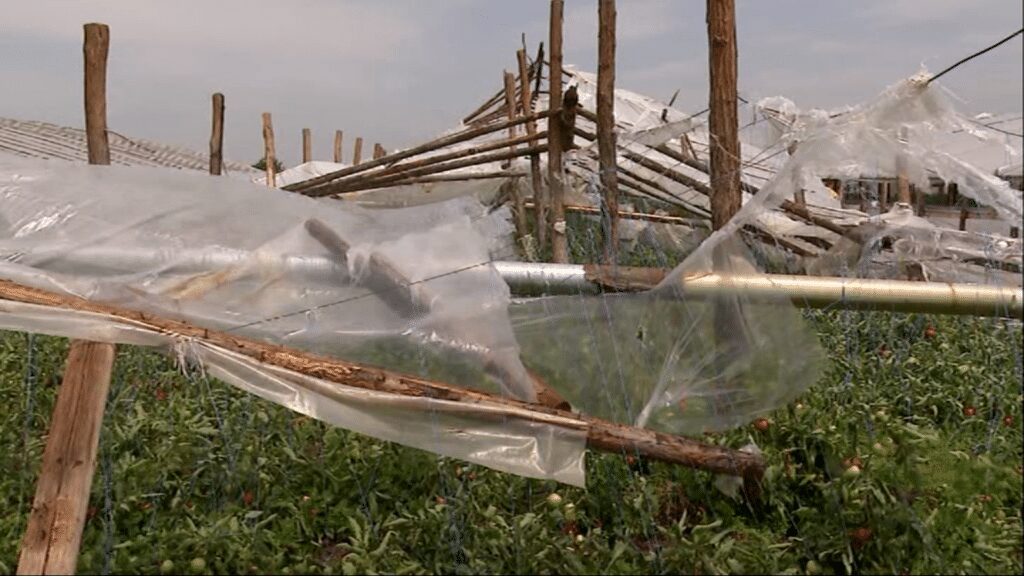 Solarii distruse de furtuna! "A venit ca o tornada. Eram in solar. M-am speriat groaznic" 8 Solarii distruse de furtuna! "A venit ca o tornada. Eram in solar. M-am speriat groaznic" Solarii distruse de furtuna! "A venit ca o tornada. Eram in solar. M-am speriat groaznic" Legislatie