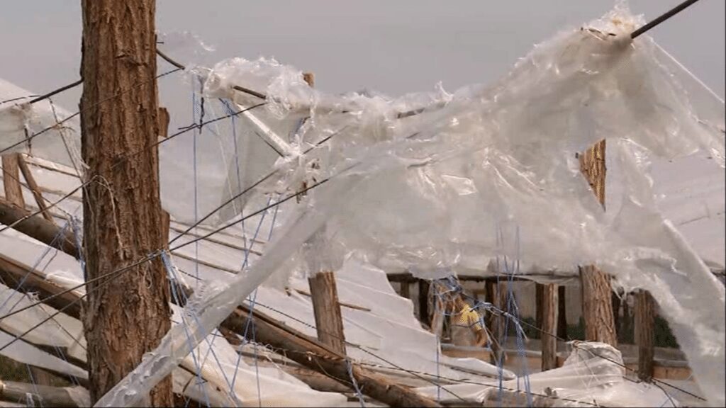 Solarii distruse de furtuna! "A venit ca o tornada. Eram in solar. M-am speriat groaznic" 2 Solarii distruse de furtuna! "A venit ca o tornada. Eram in solar. M-am speriat groaznic" Solarii distruse de furtuna! "A venit ca o tornada. Eram in solar. M-am speriat groaznic" Stiri agricole