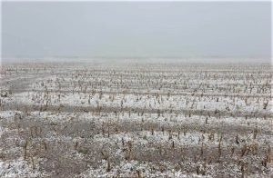 Un nou val de vreme rea! Grindina a facut prapad in gospodarii si culturile agricole Recomandarile specialistilor