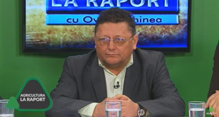 Bela Vaida