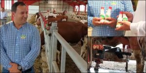 Ferma de familie ULTRAMODERNA. Vacile asculta muzica simfonica si merg singure la robotul de muls Stiri agricole Focar de Covid-19
