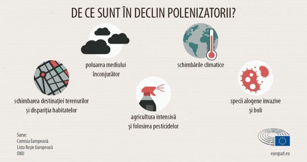 De ce este in declin populatia albinelor si a altor polenizatori? 2 De ce este in declin populatia albinelor si a altor polenizatori? De ce este in declin populatia albinelor si a altor polenizatori? Stiri agricole