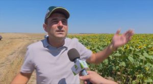 fermier agricultura