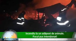 incendiu