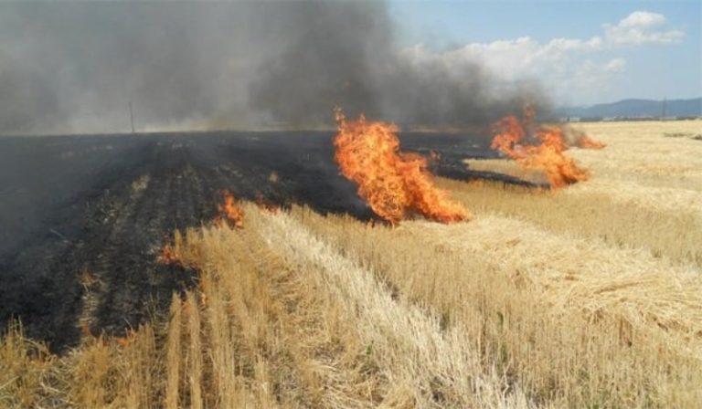 incendiul vegetatie agricultura drumul spre iad
