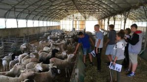 licee agricole elevi