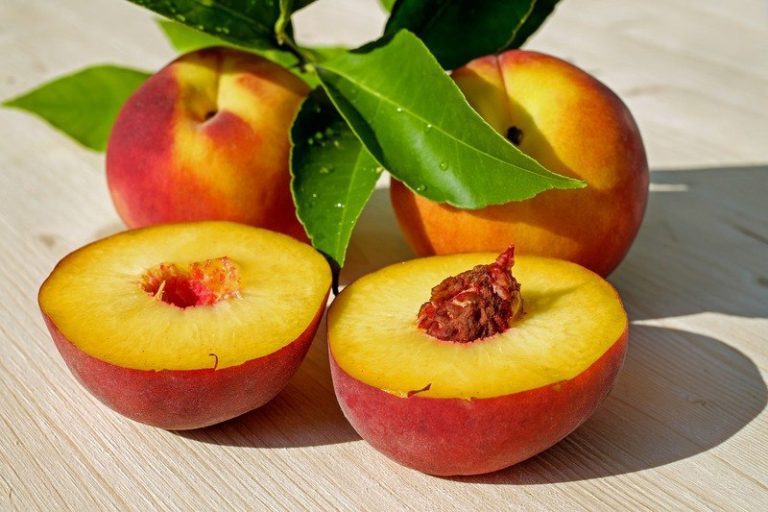 fructe piersici