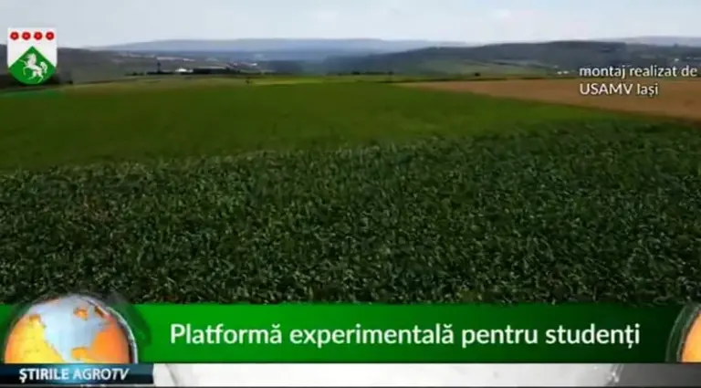 teren agricol
