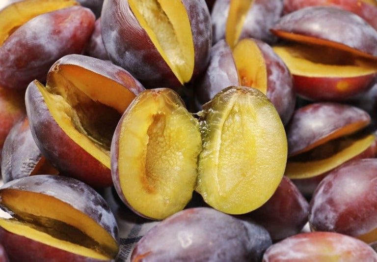 prune