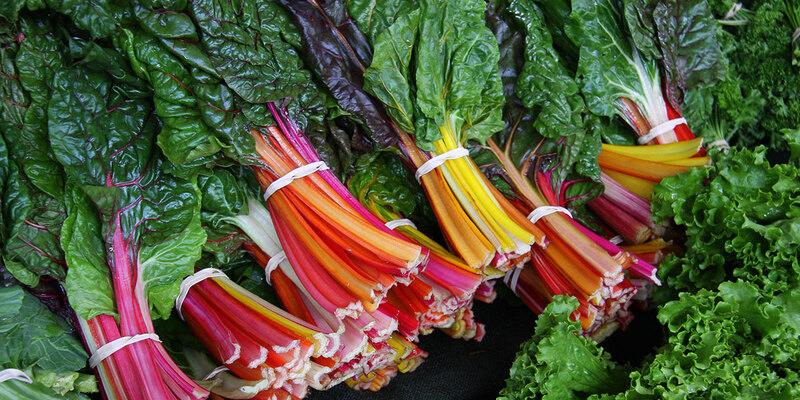 Swiss chard, leguma care regleaza zaharul din sange 2 Swiss chard, leguma care regleaza zaharul din sange swiss chard
