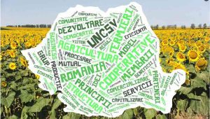 cooperativele agricole