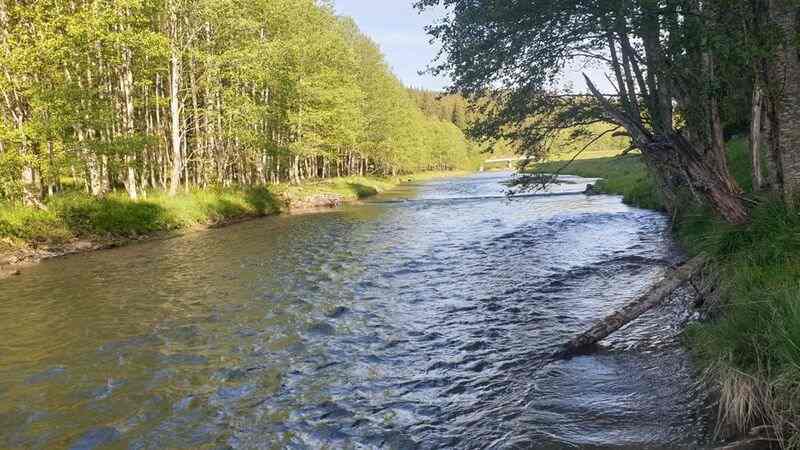 Unde poți pescui păstrăv cu 20 de lei pe zi 13 Unde poți pescui păstrăv cu 20 de lei pe zi Păstrăv pe Bâsca Mare