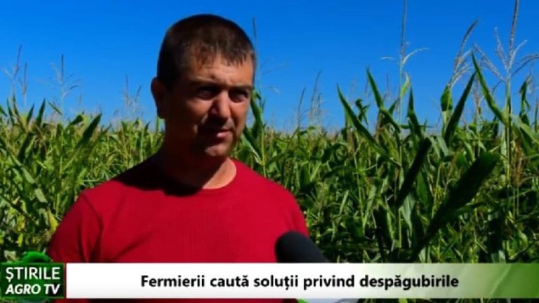 fermier Ionel Arion mecanisme