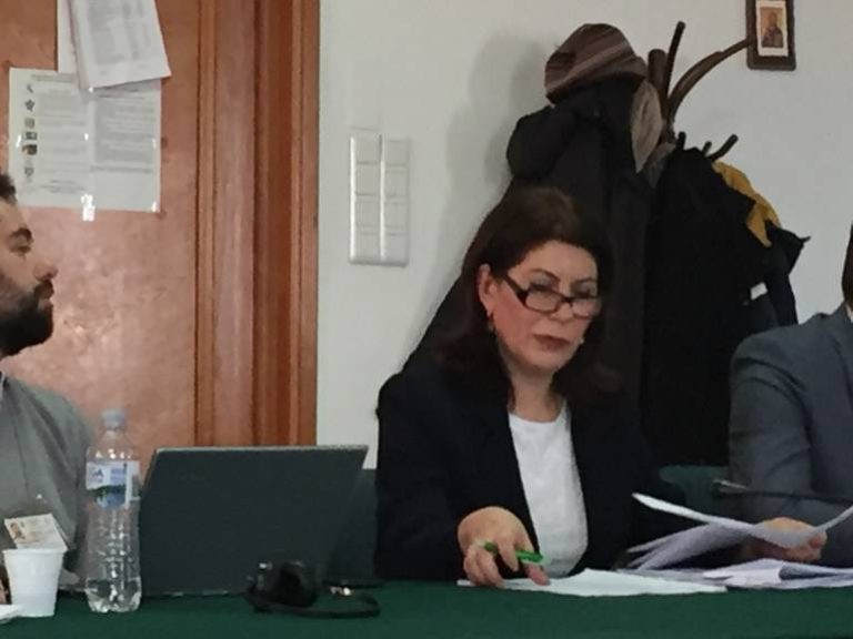 Mirela Calugareanu, presedinte CEC BANK