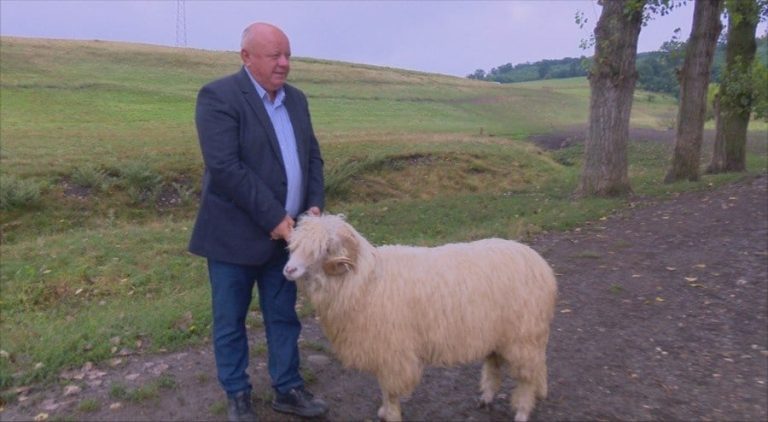 fermier bani putini