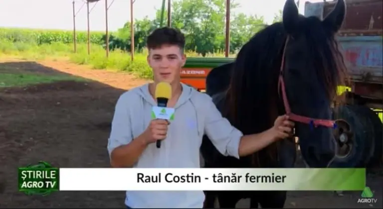 dragostea pentru caii de rasa