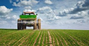 fertilizare cu ecofol