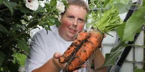 legume record