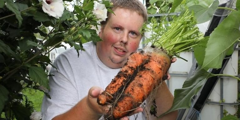 legume record