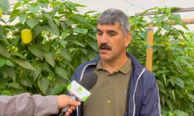 Casa de Comert Agroalimentar Unirea