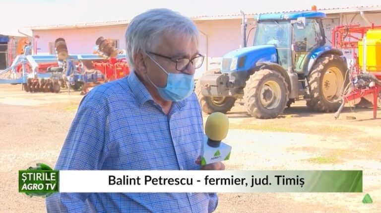 ferma veche readusa la viata