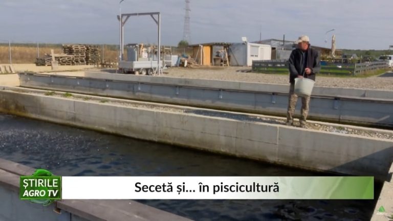 seceta în piscicultură