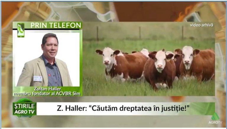 conflict cu ANZ