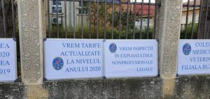 valul de proteste