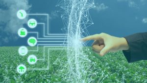 Soluție la Covid -- digitalizarea sectorului agro Stiri agricole acum