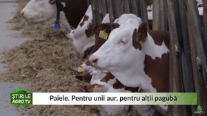 paie