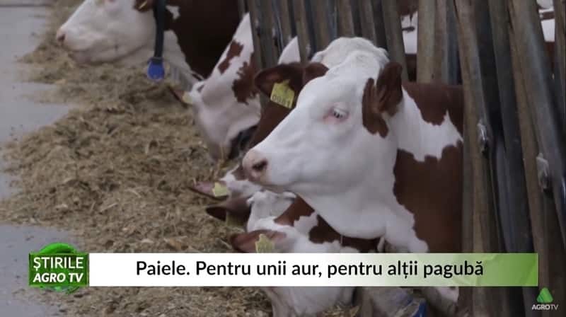paie