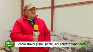 Puiu Ilisei ciuperci