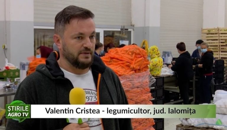 valentin cristea afacere