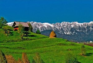 11 decembrie: Ziua internațională a muntelui. "România ar trebui să mizeze masiv pe alimentul de munte" De actualitate izolați