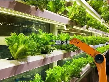 Fermele verticale -- viitorul agriculturii (inclusiv în România)? 1 Fermele verticale -- viitorul agriculturii (inclusiv în România)? Fermele verticale -- viitorul agriculturii (inclusiv în România)? Tehnologii si utilaje România